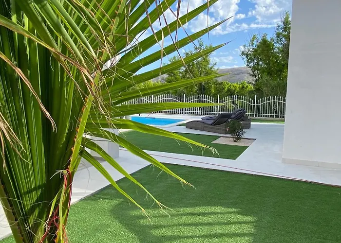 Casa Blanca * 파그